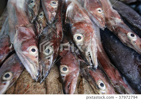 VENEZUELA ISLA MARGATITA JUANGRIEGO FISH MARKET VENEZUELA ISLA MARGATITA JUANGRIEGO FISH MARKET 37972794