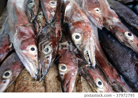 VENEZUELA ISLA MARGATITA JUANGRIEGO FISH MARKET VENEZUELA ISLA MARGATITA JUANGRIEGO FISH MARKET 37972795
