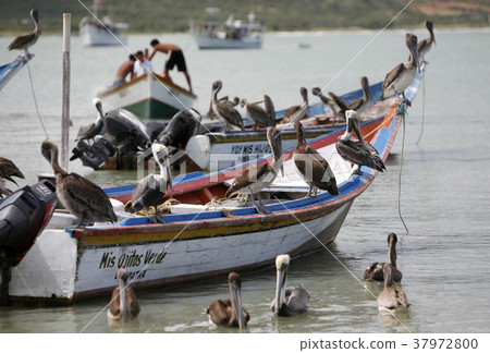 VENEZUELA ISLA MARGATITA JUANGRIEGO BEACG 37972800