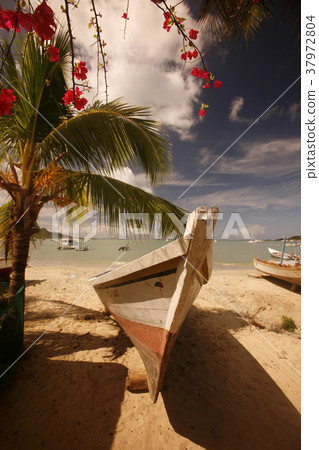 VENEZUELA ISLA MARGATITA JUANGRIEGO BEACG 37972804