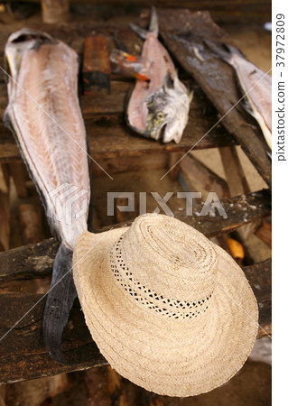 VENEZUELA ISLA MARGATITA JUANGRIEGO FISH MARKET VENEZUELA ISLA MARGATITA JUANGRIEGO FISH MARKET 37972809