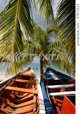 VENEZUELA ISLA MARGATITA PEDRO GONZALEZ BEACH VENEZUELA ISLA MARGATITA PEDRO GONZALEZ BEACH 37972813