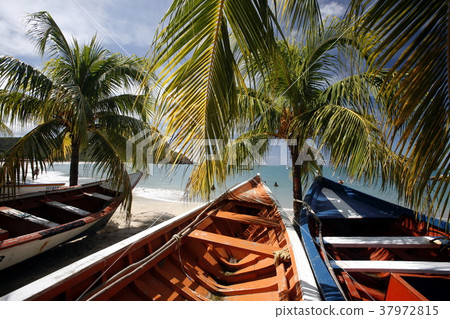 VENEZUELA ISLA MARGATITA PEDRO GONZALEZ BEACH 37972815