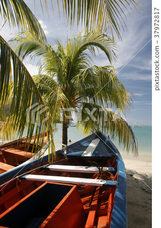 VENEZUELA ISLA MARGATITA PEDRO GONZALEZ BEACH VENEZUELA ISLA MARGATITA PEDRO GONZALEZ BEACH 37972817