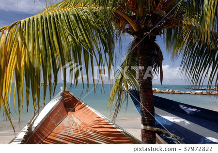 VENEZUELA ISLA MARGATITA PEDRO GONZALEZ BEACH VENEZUELA ISLA MARGATITA PEDRO GONZALEZ BEACH 37972822