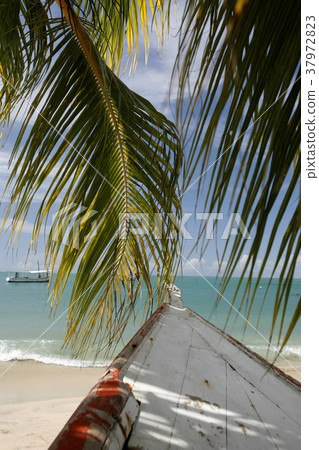 VENEZUELA ISLA MARGATITA PEDRO GONZALEZ BEACH VENEZUELA ISLA MARGATITA PEDRO GONZALEZ BEACH 37972823