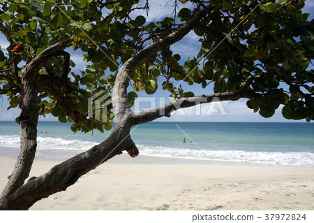 VENEZUELA ISLA MARGATITA PEDRO GONZALEZ BEACH VENEZUELA ISLA MARGATITA PEDRO GONZALEZ BEACH 37972824