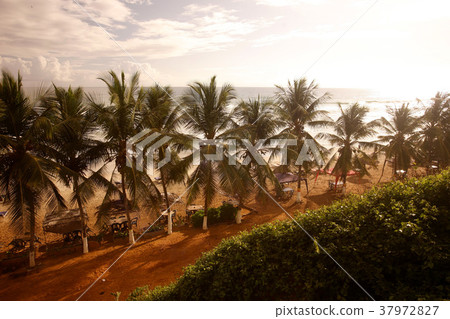 VENEZUELA ISLA MARGATITA GUACUCO 37972827