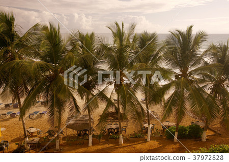 VENEZUELA ISLA MARGATITA GUACUCO 37972828