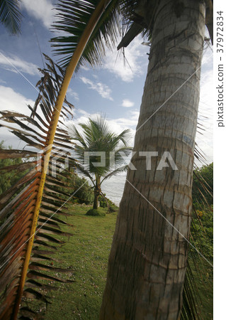 VENEZUELA ISLA MARGATITA EL CARDON BEACH 37972834