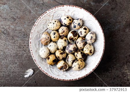 Easter quail eggs 37972913
