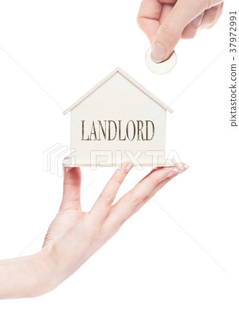 Female hand holding wooden house model with coin 37972991