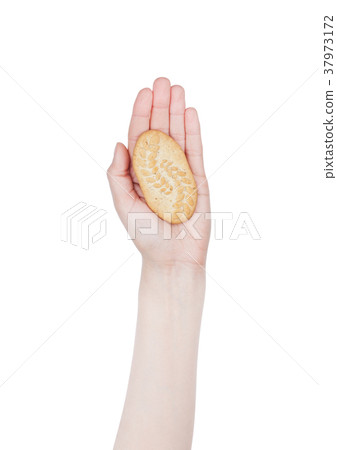 Female hand hold healthy breakfast biskuits 37973172