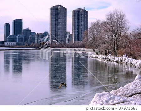 Toronto Lake view of winter Humber Bay 2018 Toronto Lake view of winter Humber Bay 2018 37973665
