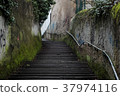 Lyon city views 37974116