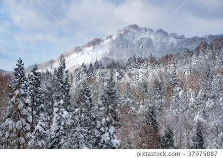 Satoyama in winter Satoyama in winter 37975087
