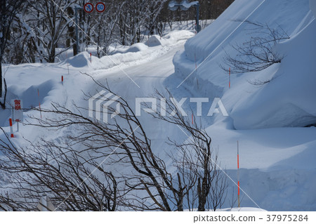 雪蓋 雪蓋 37975284
