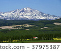 The hills of early summer 37975387