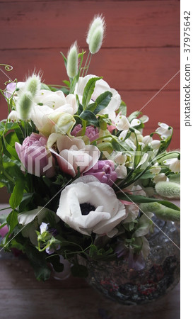 銀蓮花,聖誕玫瑰和郁金香花束 銀蓮花,聖誕玫瑰和郁金香花束 37975642