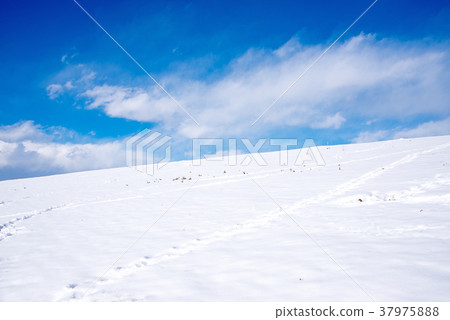 關東地區的大雪荒川河岸雪山坡白銀世界 照片素材 圖片 圖庫