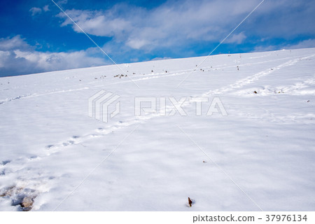 關東地區的大雪荒川河岸雪山坡白銀世界 照片素材 圖片 圖庫