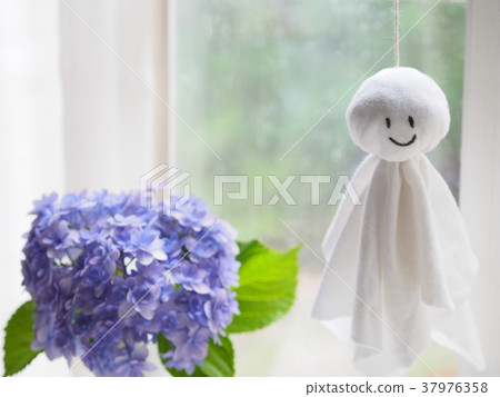 Teru Teru monk and hydrangea 37976358