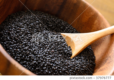 羅勒種子 37976777