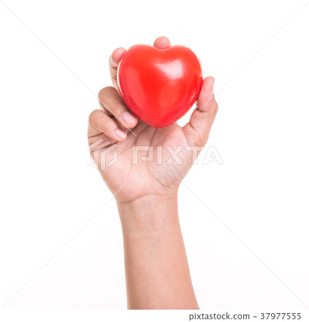 37977555