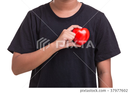 37977602