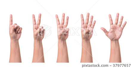 Set of human hand collection showing gestures or sign of number one to five isolated on white Set of human hand collection showing gestures or sign of number one to five isolated on white 37977657