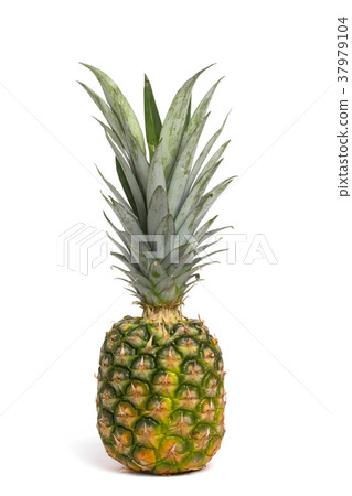 pineapple  37979104