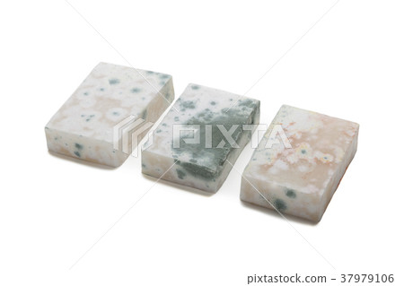 Mold Mold 37979106