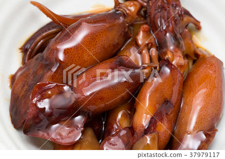 Squid of squid 37979117