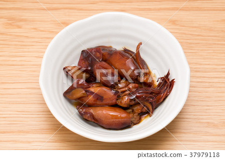 Squid of squid 37979118