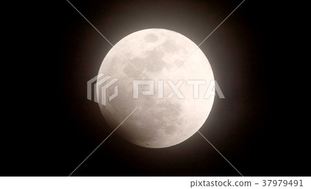 月全食（2018年1月31日）愛知縣名古屋市 37979491