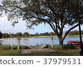 Pond with fountain and hammock 37979531