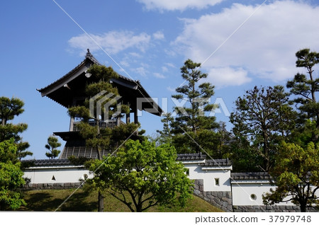 Shinobushiro 37979748