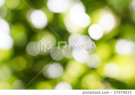 Beautiful bokeh of background. Beautiful bokeh of background. 37979835