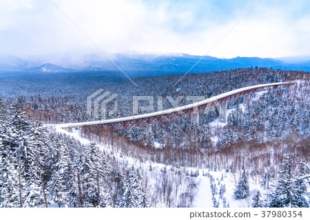 "Hokkaido" Mikunien of Yukihara 37980354