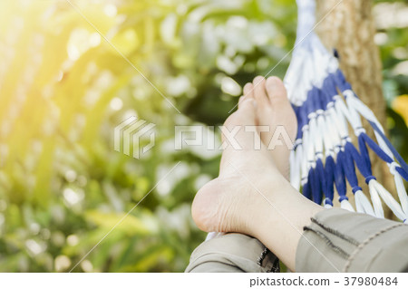 close up man in a hammock on vacation day relax close up man in a hammock on vacation day relax 37980484