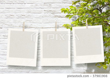 垂懸的照片框架和白色牆壁和綠色 垂懸的照片框架和白色牆壁和綠色 37981908