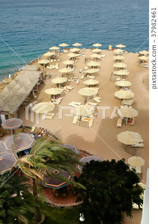 Red Sea Beach. Hurghada. Egypt 37982461