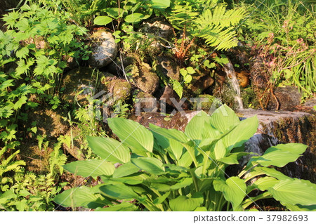 Spring water of Ogasawara Onsen, Niigata Prefecture 37982693