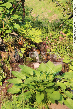 Spring water of Ogasawara Onsen, Niigata Prefecture 37982694