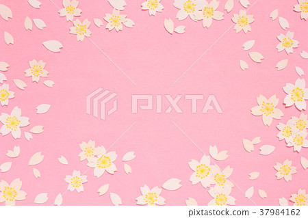 Cherry Blossoms   37984162