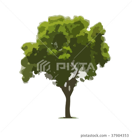 Vector Illustration of Tree Vector Illustration of Tree 37984353