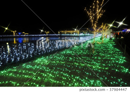 Festival of illuminations light Festival of illuminations light 37984447
