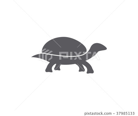 turtle animal cartoon icon image illustration turtle animal cartoon icon image illustration 37985133