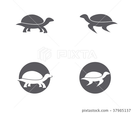 turtle animal cartoon icon image illustration turtle animal cartoon icon image illustration 37985137