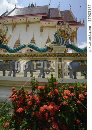 ASIA THAILAND ISAN AMNAT CHAROEN ASIA THAILAND ISAN AMNAT CHAROEN 37985185